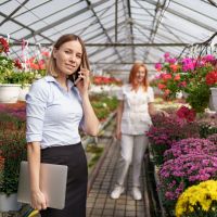 Объявление по приёму заказов на весну 2026