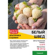 Земляника садовая 