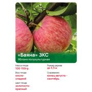 Яблоня полукультурная 