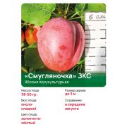 Яблоня полукультурная 