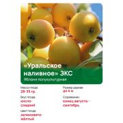 Яблоня полукультурная 