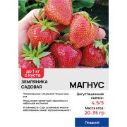 Земляника садовая 