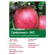 Яблоня крупноплодная 