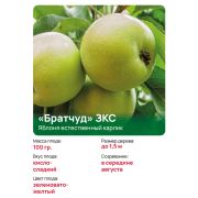 Яблоня естественный карлик 