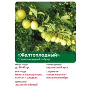 СВГ 