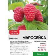 Малина крупноплодная 