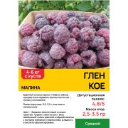 Малина 