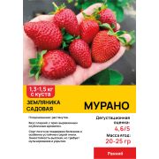 Земляника садовая 