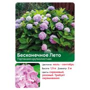 Гортензия Бесконечное лето (Endless Summer The Original) крупнолистная