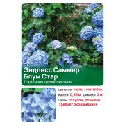 Гортензия Эндлесс Саммер Блум Стар (Endless Summer Bloomstar) крупнолистная