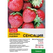Земляника садовая 