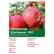 Яблоня полукультурная 