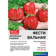 Земляника садовая 