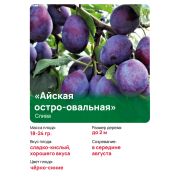 Слива 