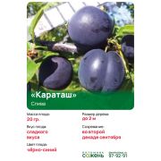 Слива 