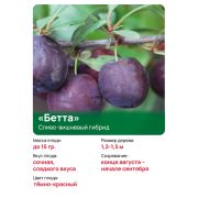 СВГ 