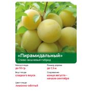 СВГ 