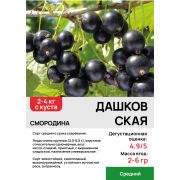 Черная смородина 