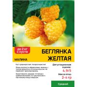 Малина 
