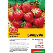 Земляника садовая 