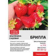 Земляника садовая 