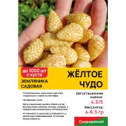 Земляника садовая 
