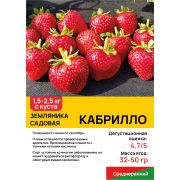 Земляника садовая 