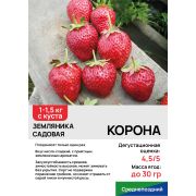 Земляника садовая 