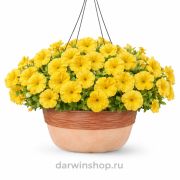 Петуния Лавина Желтый Каприз