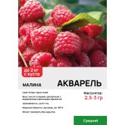 Малина 