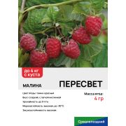 Малина 