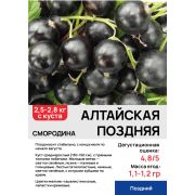Смородина 