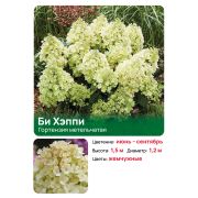 Гортензия Би Хэппи (Bee Happy) метельчатая