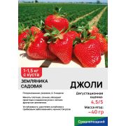 Земляника садовая 