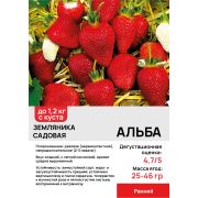 Земляника садовая 