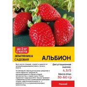 Земляника садовая 